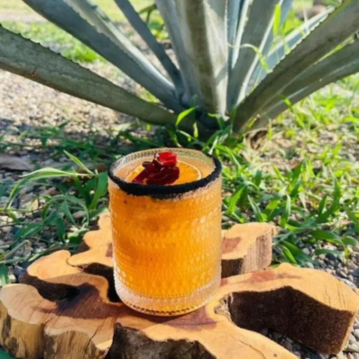 Tamarind Margarita made with Cachasol at the farm distillery in Sayulita